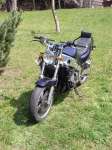 FZR